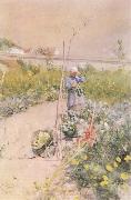 Carl Larsson In the Kitchen Garden china oil painting artist